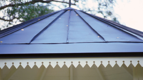 მიზეზი თუ რატომ უნდა შეიძინოთ ეს საღებავი