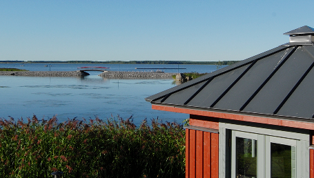 მიზეზი თუ რატომ უნდა შეიძინოთ ეს საღებავი
