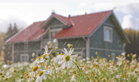 მიზეზი თუ რატომ უნდა შეიძინოთ ეს საღებავი