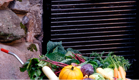 მიზეზი თუ რატომ უნდა შეიძინოთ ეს საღებავი