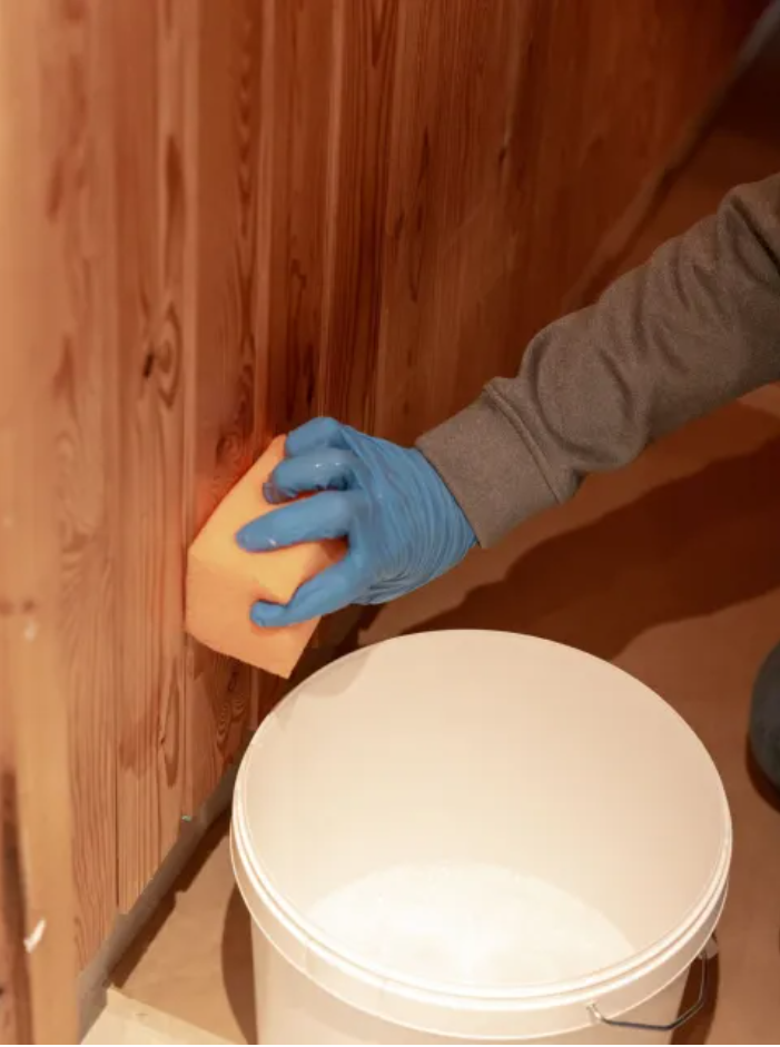 როგორ შევღებოთ საუნა 2